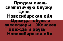 Продам очень симпатичную блузку › Цена ­ 250 - Новосибирская обл. Одежда, обувь и аксессуары » Женская одежда и обувь   . Новосибирская обл.